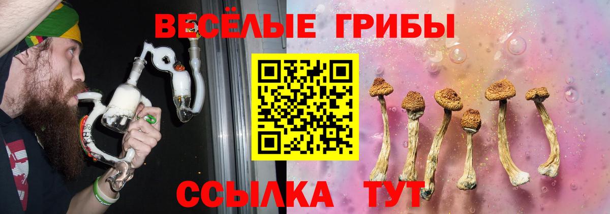Галлюциногенные грибы Magic Shrooms  Псилоцибиновые грибы Psilocybine cubensis  Вход с VPN  Коряжма 