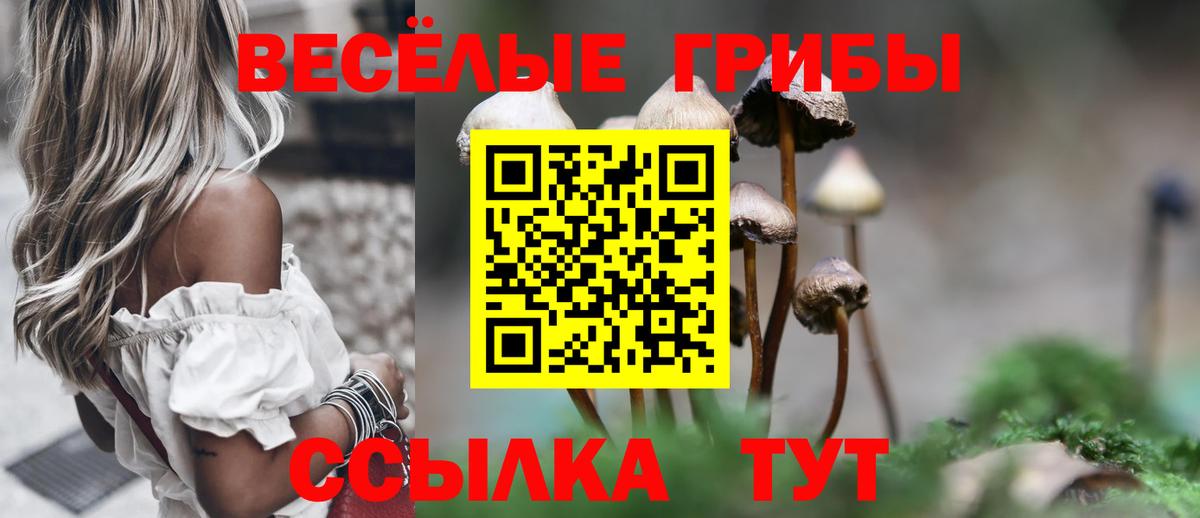 Псилоцибиновые грибы мицелий Коряжма