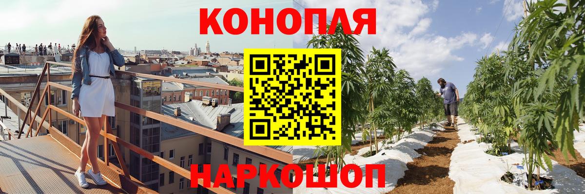 Коряжма  Каннабис планчик  Шишки марихуана семена  Вход с VPN  Каннабис конопля  Канабис план 